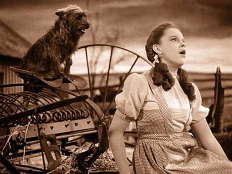 Wizard Of Oz Secrets Wizard Of Oz Characters Wizard Of Oz 1939