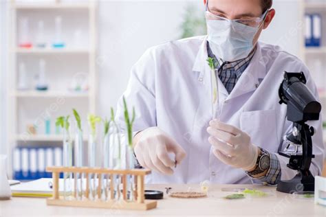El Bioquímico Masculino Que Trabaja En El Laboratorio Con Plantas El