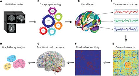 Frontiers Application Of Graph Theory For Identifying Connectivity