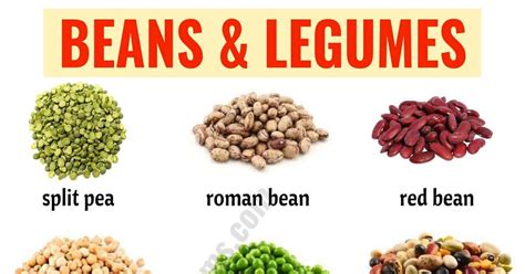 Types Of Beans 15 Different Types Of Beans And Legumes With The Picture Esl Forums