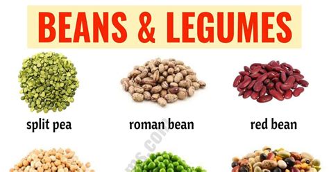 There are a huge amount of reasons to learn english food names and in this section,. Types of Beans: 15 Different Types of Beans & Legumes with ...