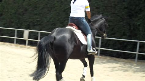 Jumping Lesson - YouTube