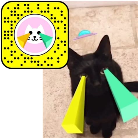 Snapchat Filters For Cats And Dogs With Cute Pics Avas