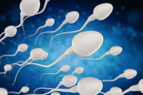 Ivf Using Donor Sperm Hart Fertility Clinic