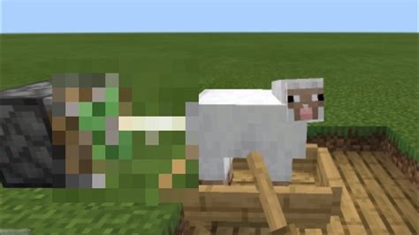 Minecraft 116 How To Make Sheep Fricker Youtube