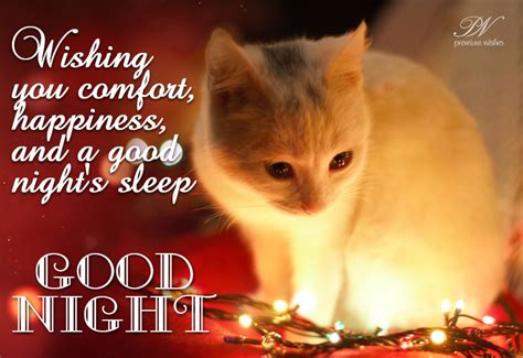 Wishing You Comfort Happiness And A Good Night Sleep Premium Wishes