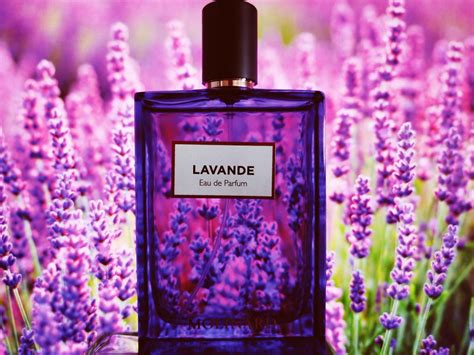 Lavande Eau De Parfum Molinard Perfume A Fragrance For Women And Men 2018