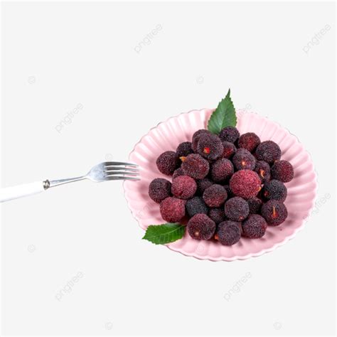 Nutritious Sweet And Sour Delicious Fresh Bayberry Waxberry Quenching