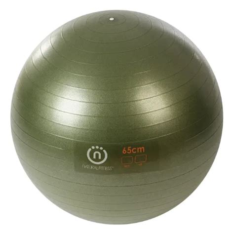 Lifeline Pro Burst Resistant Exercise Balls
