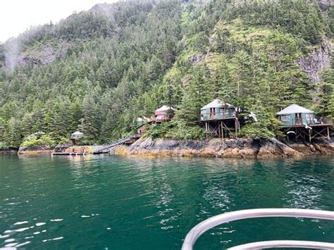 Orca Island Cabins Seward Alaska Tarifs 2022