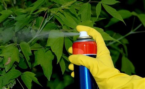 The sad reality is that pesticides exist not only as residue, but are. Considerations When Selecting a Systemic or Non-systemic ...