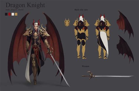 Jiyun Lim Dragon Knight Knight Rpg Character
