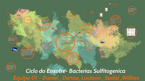 Ciclo Do Enxofre Bacterias Sulfitogenica By Willian Lisboa