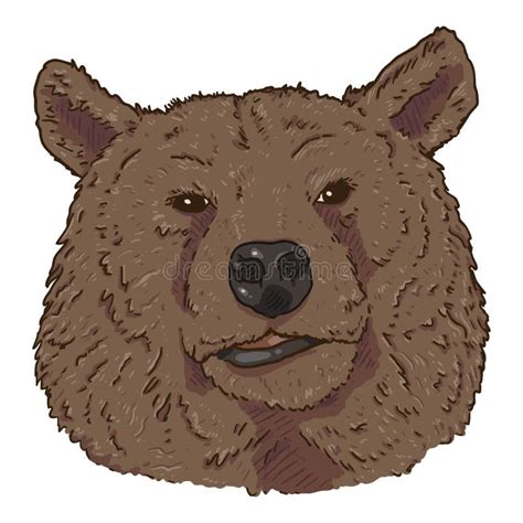 Vector Set Of Bear Head Illustrations Sketch And Cartoon Stock Vector
