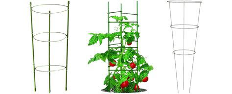10 Best Tomato Trellis 2020 Buying Guide Geekwrapped