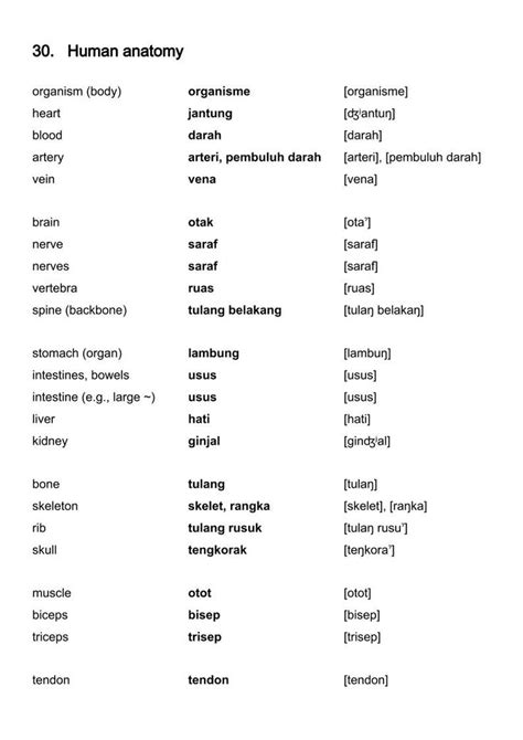 Indonesian Vocabulary Human Anatomy Vocabulary Indonesian Vocab