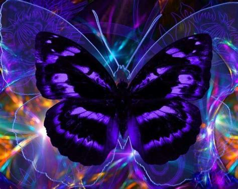 Purple Tears Page Beautiful Butterflies Butterfly Wallpaper Blue