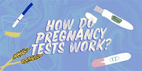 How Do Pregnancy Tests Work Ellaone Uk