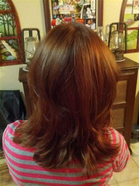 Whole blends, fructis, olia, nutrisse, skinactive Deep chocolate brown on a layered haircut | Hair and ...