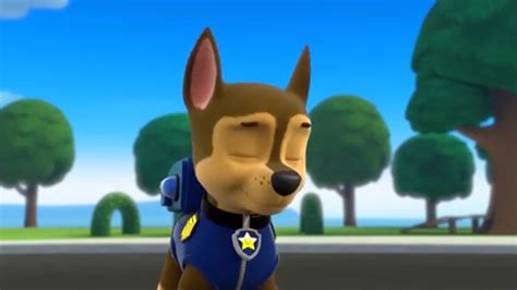 Image Pups Save A School Day 13png Paw Patrol Wiki Fandom