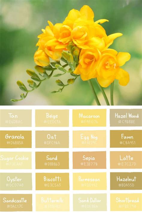 30 Types Of Yellow Flowers A To Z Photos And Info Freesia Flowers