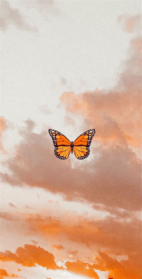 𝚎𝚍𝚒𝚝𝚎𝚍 𝚋𝚢 𝚣𝚘𝚎𝚢𝚋𝚊𝚔𝚎𝚛𝚛 𝚠𝚒𝚝𝚑 𝚕𝚒𝚐𝚑𝚝𝚛𝚘𝚘𝚖 Butterfly Wallpaper Iphone