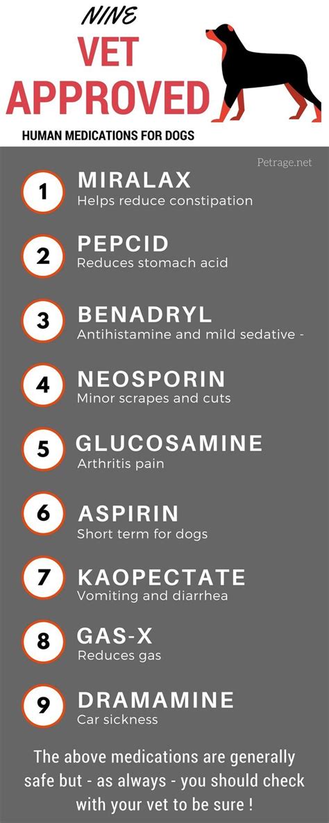 9 Human Medications That Are Generally Safe For Dogs Medication For