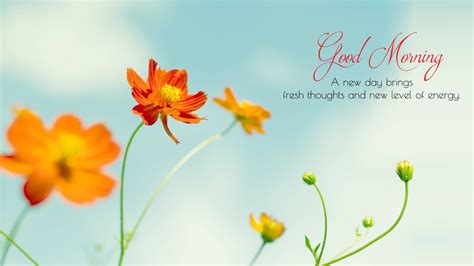 Always make sure that your images are under a. Good Morning Wallpaper with Flowers, Full HD 1920x1080 GM ...