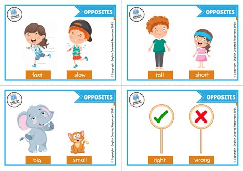 Opposites Flashcards English Created Resources