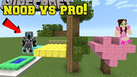 Minecraft Noob Vs Pro Build Battle Pro Team Mi Doovi