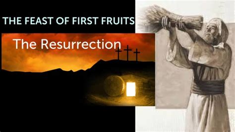 The Feast Of First Fruits Logos Sermons