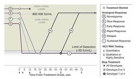 hep c viral load scale