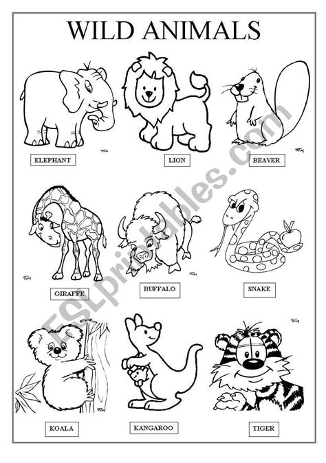 Wild Animals Esl Worksheet By Famosa Animal Worksheets Animals
