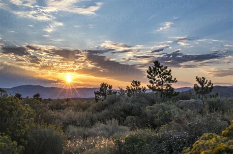 Scenery Of Desert At Sunrise Reno Nevada Usa Stock Photo