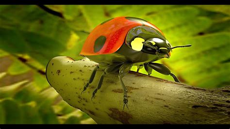 Insectos Y Bichos Tipos Y Clases 🐞 Vyglams Youtube