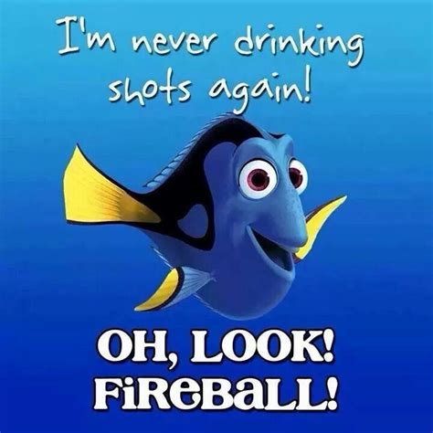 1000 Images About Fireball Because Its Worth It On Pinterest