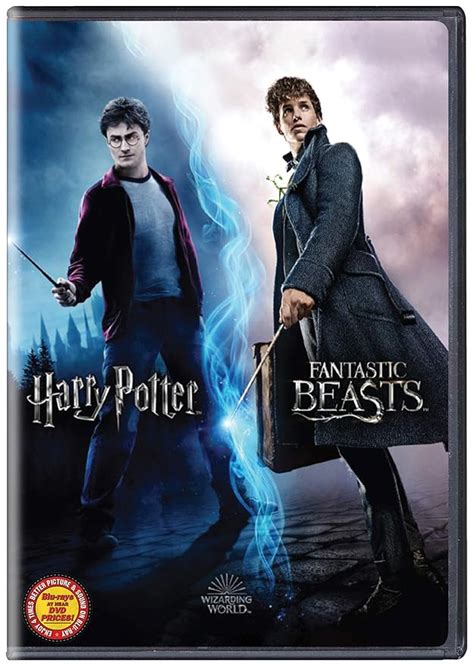 Wizarding World 10 Movies Collection Harry Potter 1 To 8 Fantastic