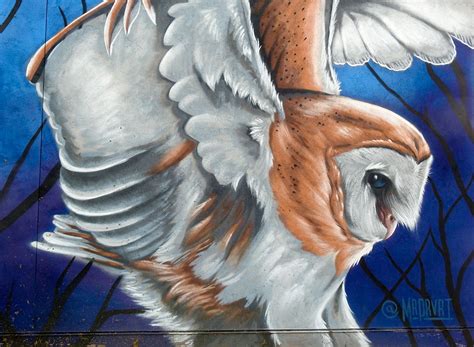 Barn Owl Aerosol Artistry Intobirds