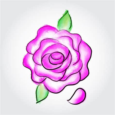 Pink Rose Painted Watercolor Vector Illustration Hand Drawn Rose