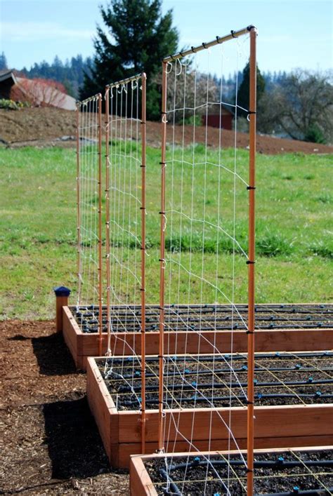 Maybe you would like to learn more about one of these? Build Your Own Copper Trellis (digital download ...