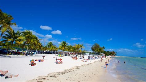 Higgs Beach In Key West Florida Expedia
