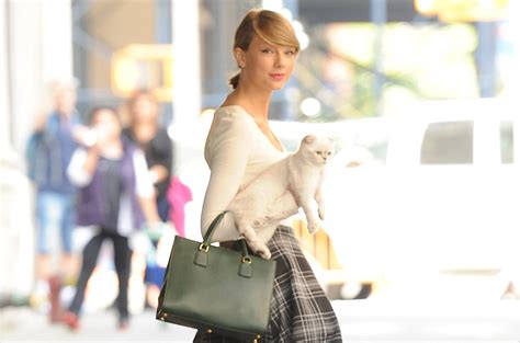 Taylor Swifts Cat Olivia Benson Is Reportedly Worth 97 Million