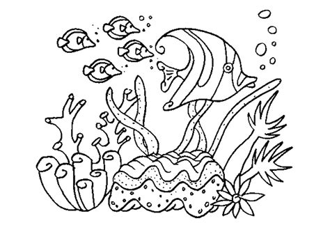 Free Printable Coral Reef Coloring Pages