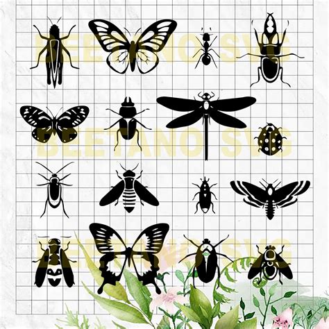 Download Insect Bundle Svg Files, Insect Svg, Insect Files For Cricut, Insect C - BeetanoSVG Scalable ...