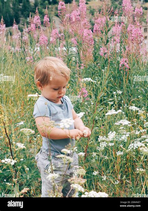 Cute Baby Boy Standing Amidst Plants Stock Photo Alamy