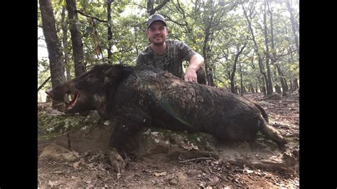 Spot And Stalk Hog Hunt In Oklahoma Big Boar Down Youtube