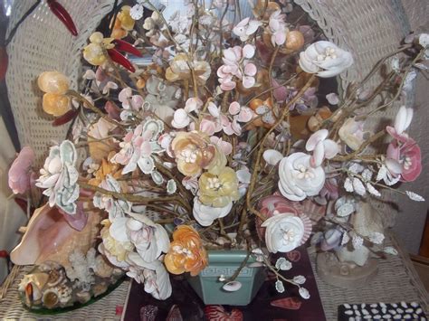 My Seashell Collection Seashell Crafts Shell Art Sea Shells Arts And