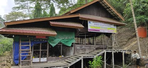 Namun, dalam perjalanan kami itu, mama menekankan bahwa kami tidak akan berhubungan seks. Kebun Pendidikan Teluk Dalam | Fakultas Pertanian