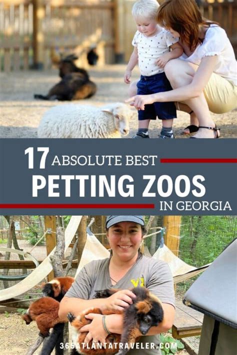 Petting Zoo Near Me 15 Most Adorable Petting Zoos In Georgia