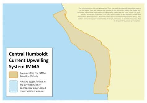 Central Humboldt Current Upwelling System Imma Marine Mammal